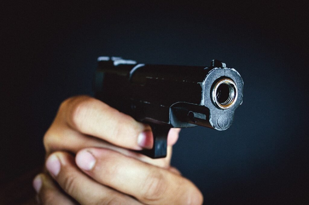 armas de fuego